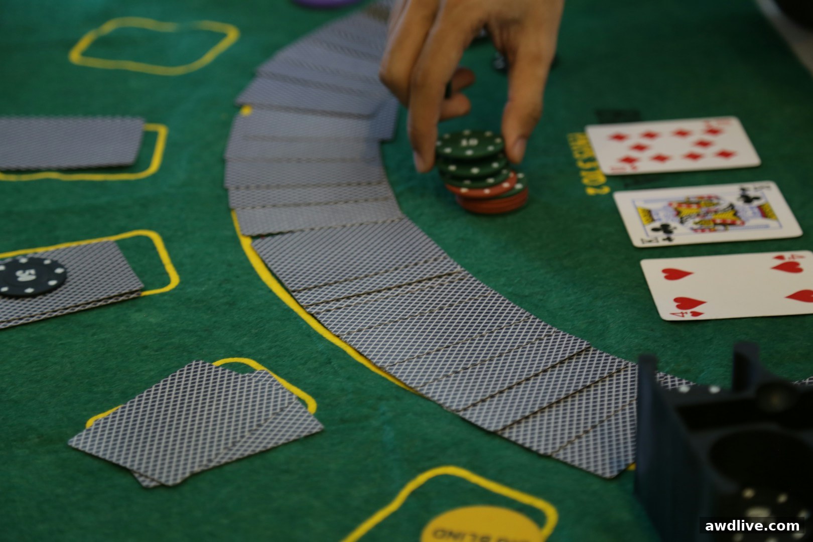 Asia Gaming AG真人 全球华人首选真人娱乐 · 实景娱乐大厅 · awdlive.com